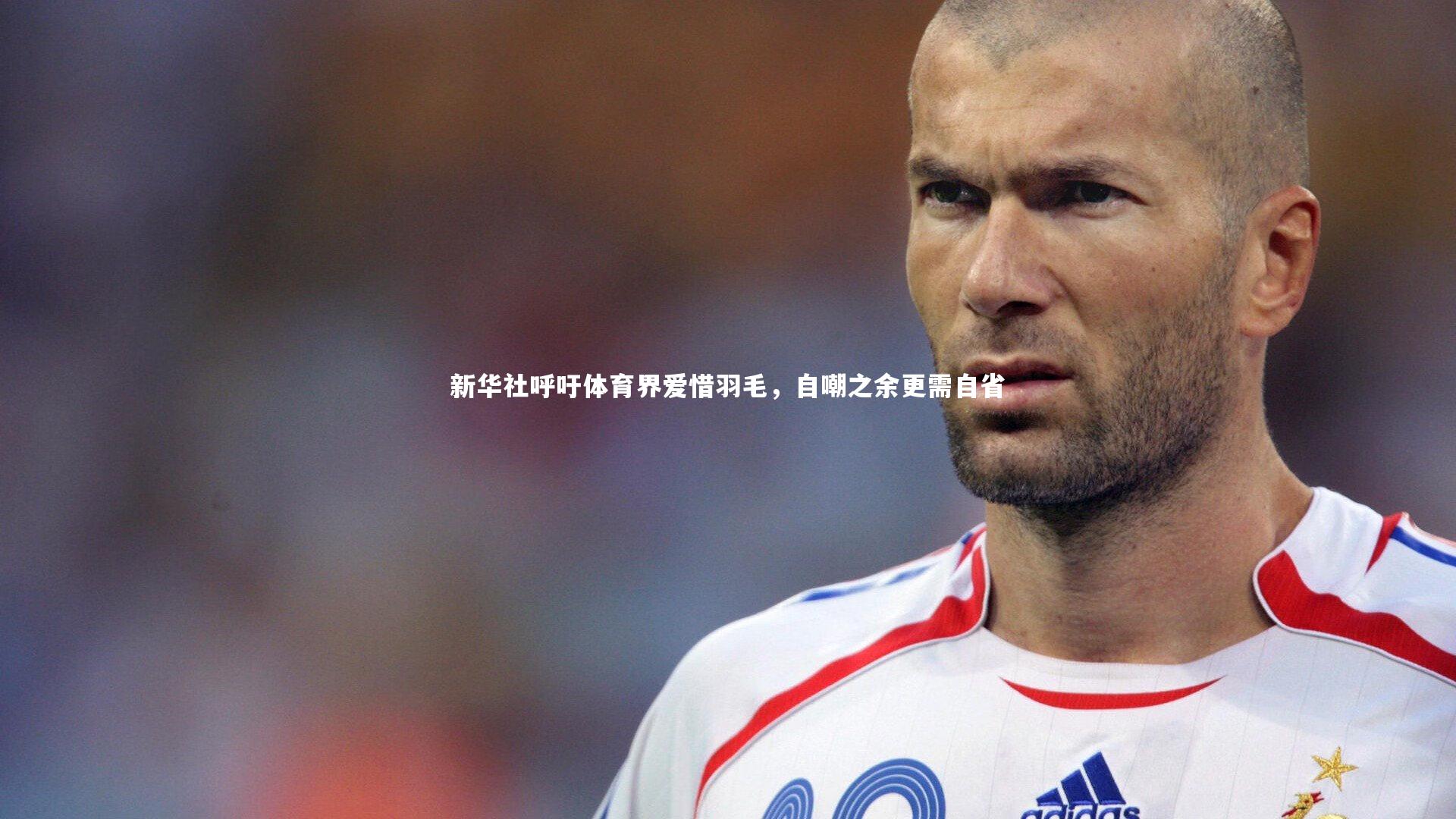 【B体育平台】新华社呼吁体育界爱惜羽毛，自嘲之余更需自省